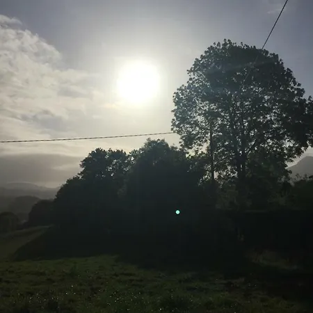 La Vina *