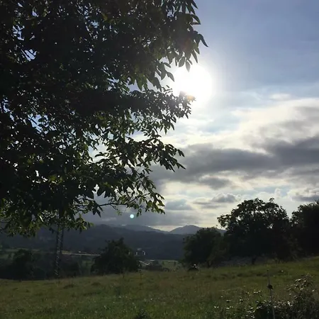 La Vina Onís