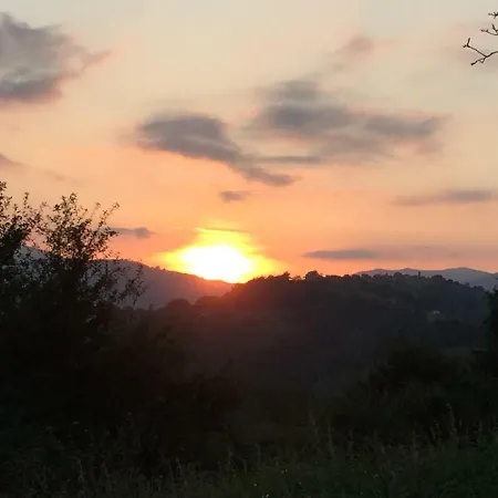 La Vina * Onís